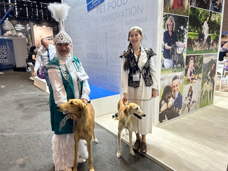 Kazakh tazy breed triumphs with elegance and excellence at World Dog Show 2023 in Geneva 